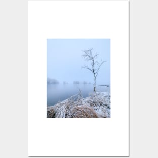 Calm lake landscape at winter Posters and Art